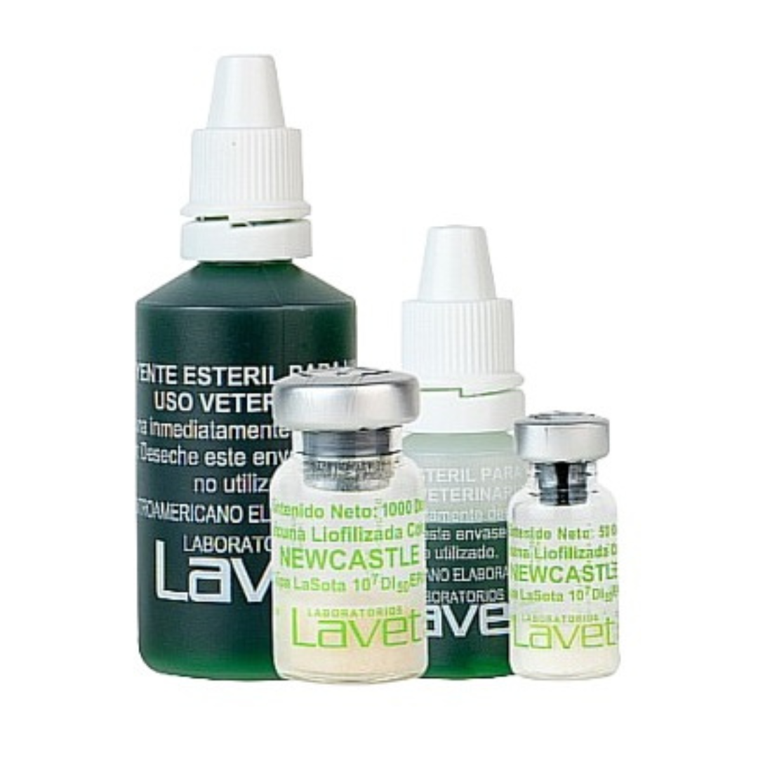 VACUNA NEWCASTLE CEPA LASOTA LAVET